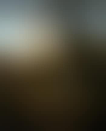 Deer in the New Forest (preview)