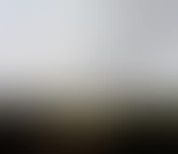 Panoramic wooded landscape in summer (preview)