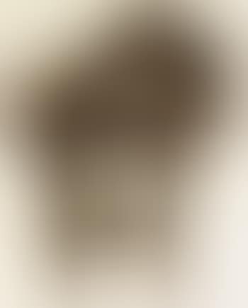 Drunk with turpentine (preview)