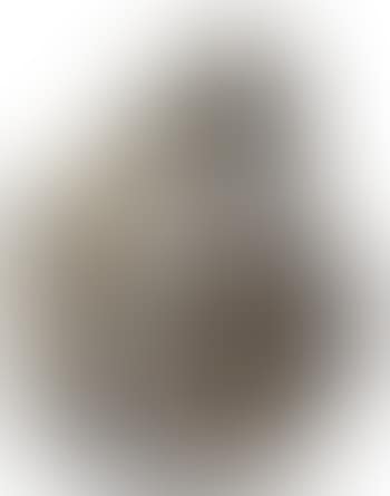 Owl (preview)