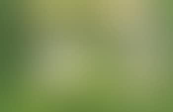 Green mask composition (preview)