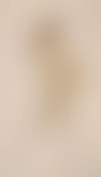 Josephine Baker (preview)