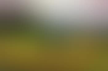 Paysage des Maures du cote du plan de la Tour (preview)