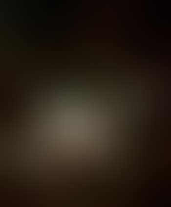 Still life (preview)