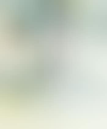 Samois (preview)