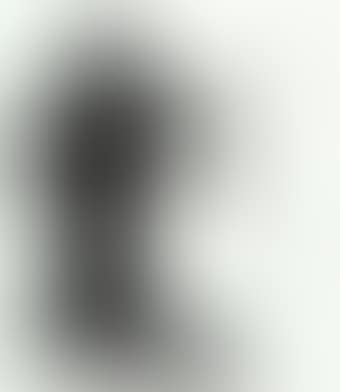 Pharynx (preview)