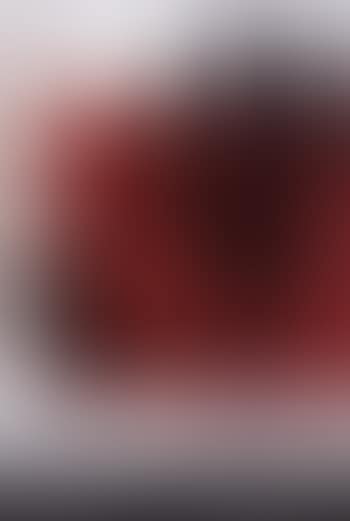 S.H oder die Liebe Zum Stoff (preview)