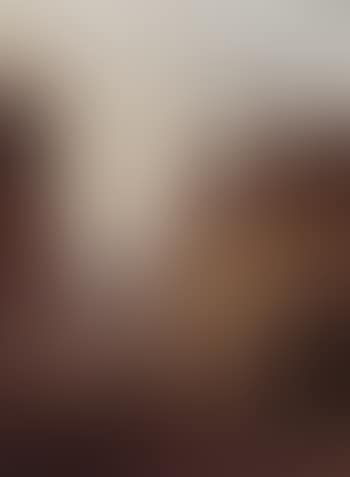 Chiavenia. Chartres (preview)
