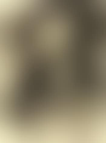 Portrait of Charles Drouet (preview)