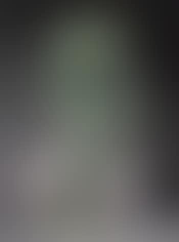 La grande ombre (preview)