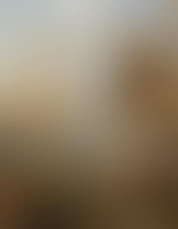 Sir Francis Drake at Cadiz (preview)