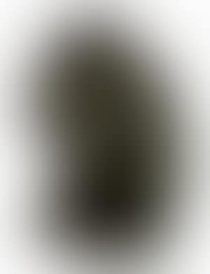 Self portrait (preview)