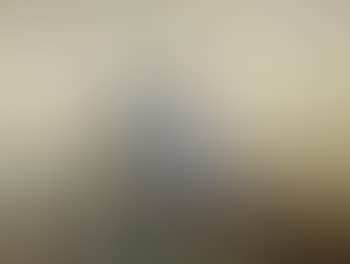 Woman in punt (preview)