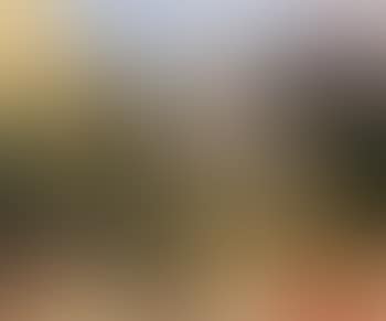 Le jardin (preview)