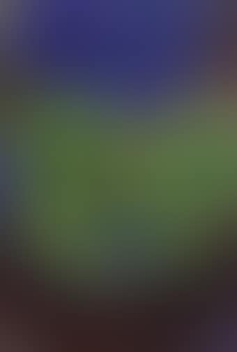 Untitled (preview)