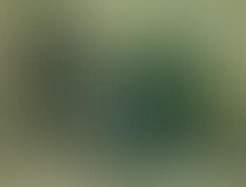 Green landscape (preview)