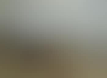 Marine (preview)