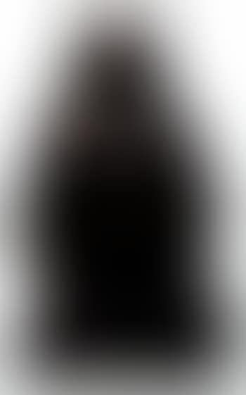 Cat (preview)