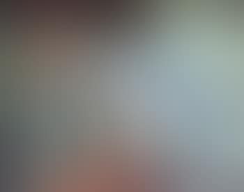 Nature morte a l'echarpe bleue (preview)