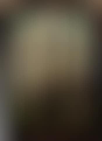Pinceaux (preview)