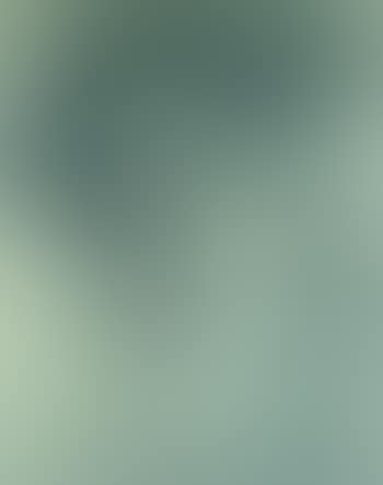 Le Tocsin (preview)