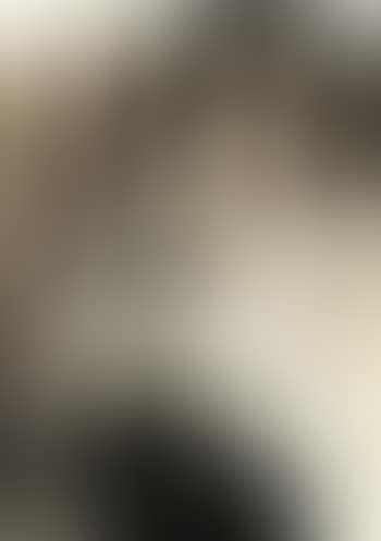 Le renard blanc (preview)