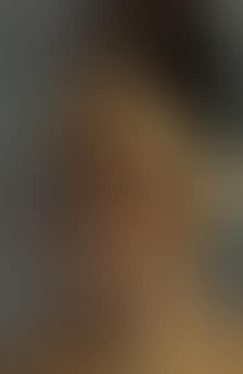 Portrait of noble woman from Siam (preview)