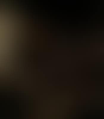 Scene d'interieur de taverne hollandaise (preview)