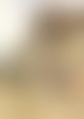 Still life (preview)