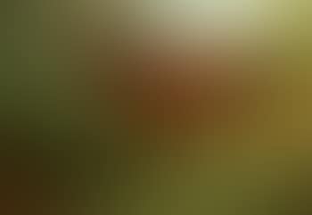 Mare and foal in an orchard (preview)