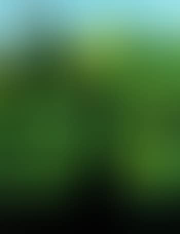 Brooklyn Park, Taranaki (preview)