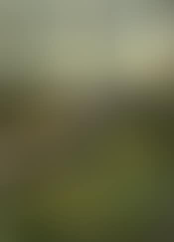 Grass to the gate at Birling Gap (preview)