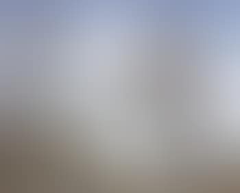 Winter landscape (preview)