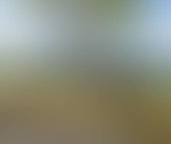 Landscape in the Lower Alps (preview)