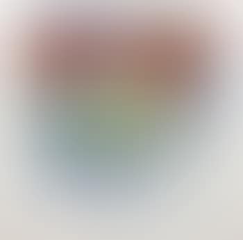 Campbell Soup Box (preview)