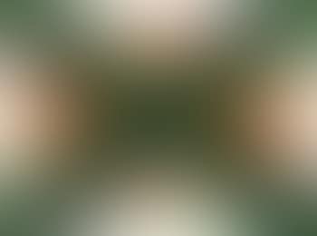 Composition verte et orange 2 (preview)