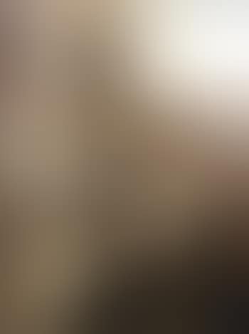 Venise (preview)