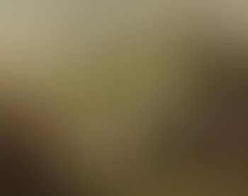 Capture of Jericho by Joshua and the Israelites (preview)
