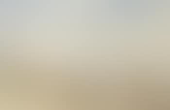 Figures on Scheveningen beach (preview)