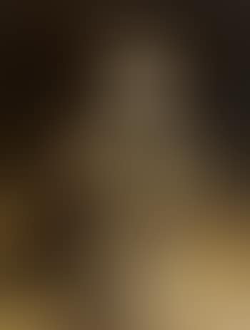 Saint-Bernard puppy (preview)