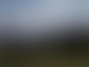 Figures with sheep by Vierwaldstattersee (preview)