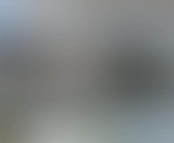 On the Seine (preview)