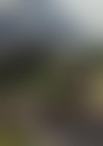 Animals on path down from mountain pasture (preview)