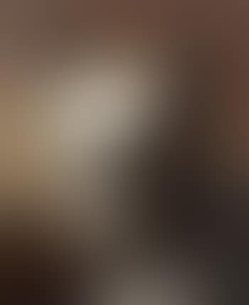 Portrait of dog (preview)