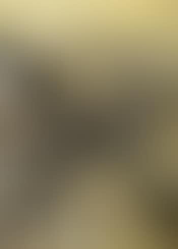 Homage to Betuda (preview)