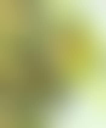 Still life of flowers in a blue vase (preview)