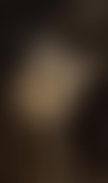 Portrait d'Henri IV (preview)