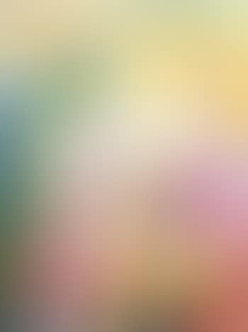 Figure a la rose poignardee (preview)