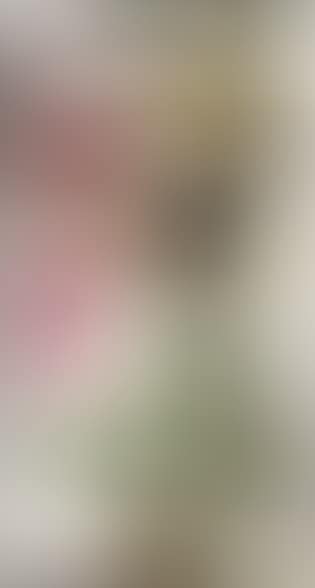 Young Dutch girl holding tulips (preview)