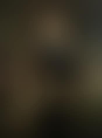 Portrait presume de Louis XV (preview)